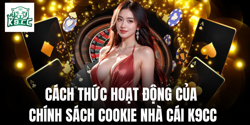 Cách thức mà chính sách cookie của nhà cái hoạt động