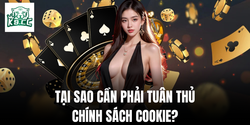 Lý do cần phải tuân thủ chính sách cookie là gì?