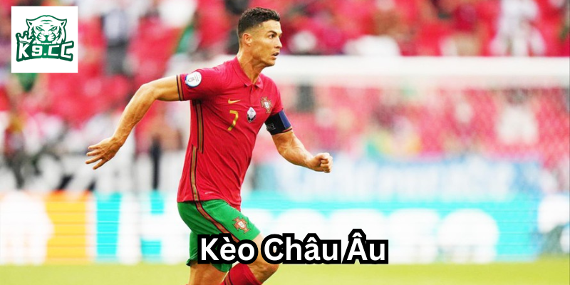 Cách soi Kèo Châu Âu chuẩn xác