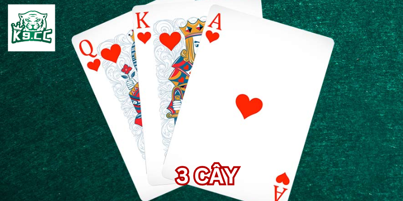 Những lưu ý quan trọng về bài 3 Cây