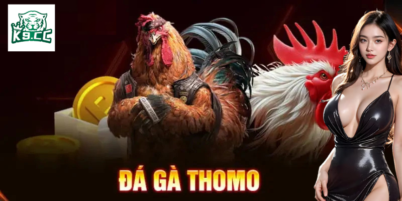 Một số điều cần chú ý khi tham gia đá gà