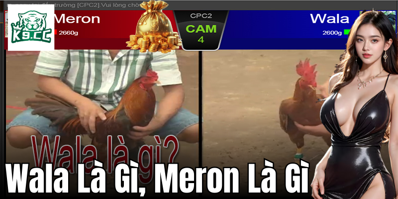 Sự khác biệt giữa Wala là gì, Meron là gì