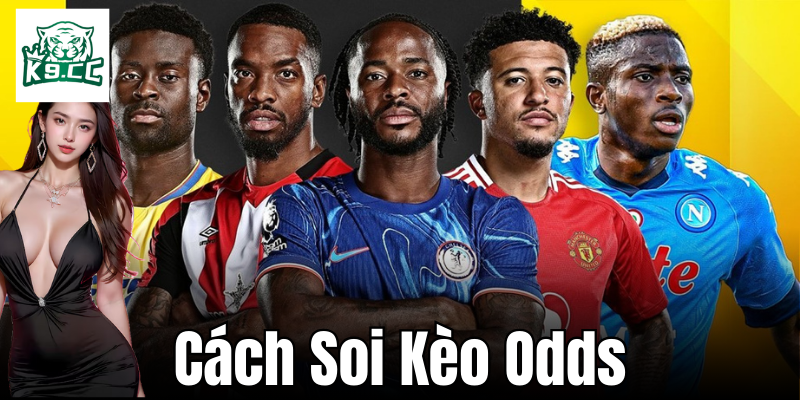 Tìm hiểu tổng quan về kèo odds