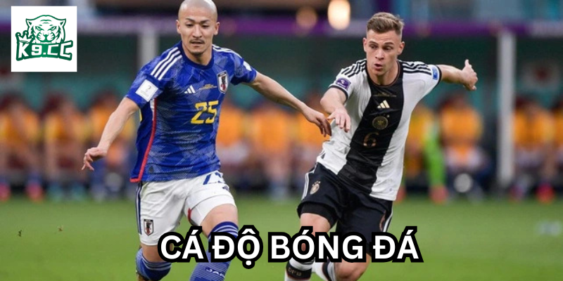 Cá Độ Bóng Đá là gì?