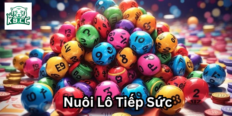 Những lưu ý Nuôi Lô Tiếp Sức