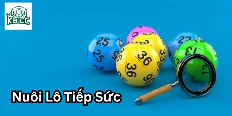 Ưu Nhược điểm của Nuôi Lô Tiếp Sức