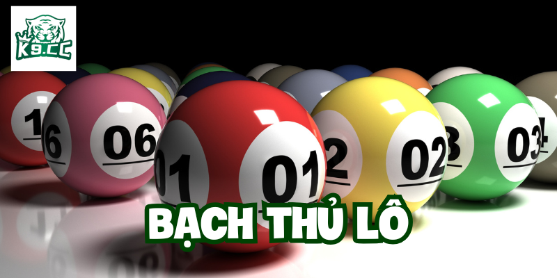 Bạch Thủ Lô là gì?